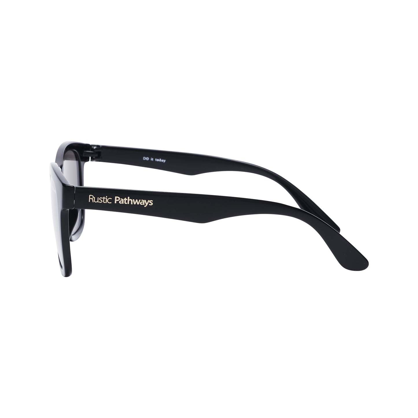Roppongi Sunglasses (Shiny Black / Silver)