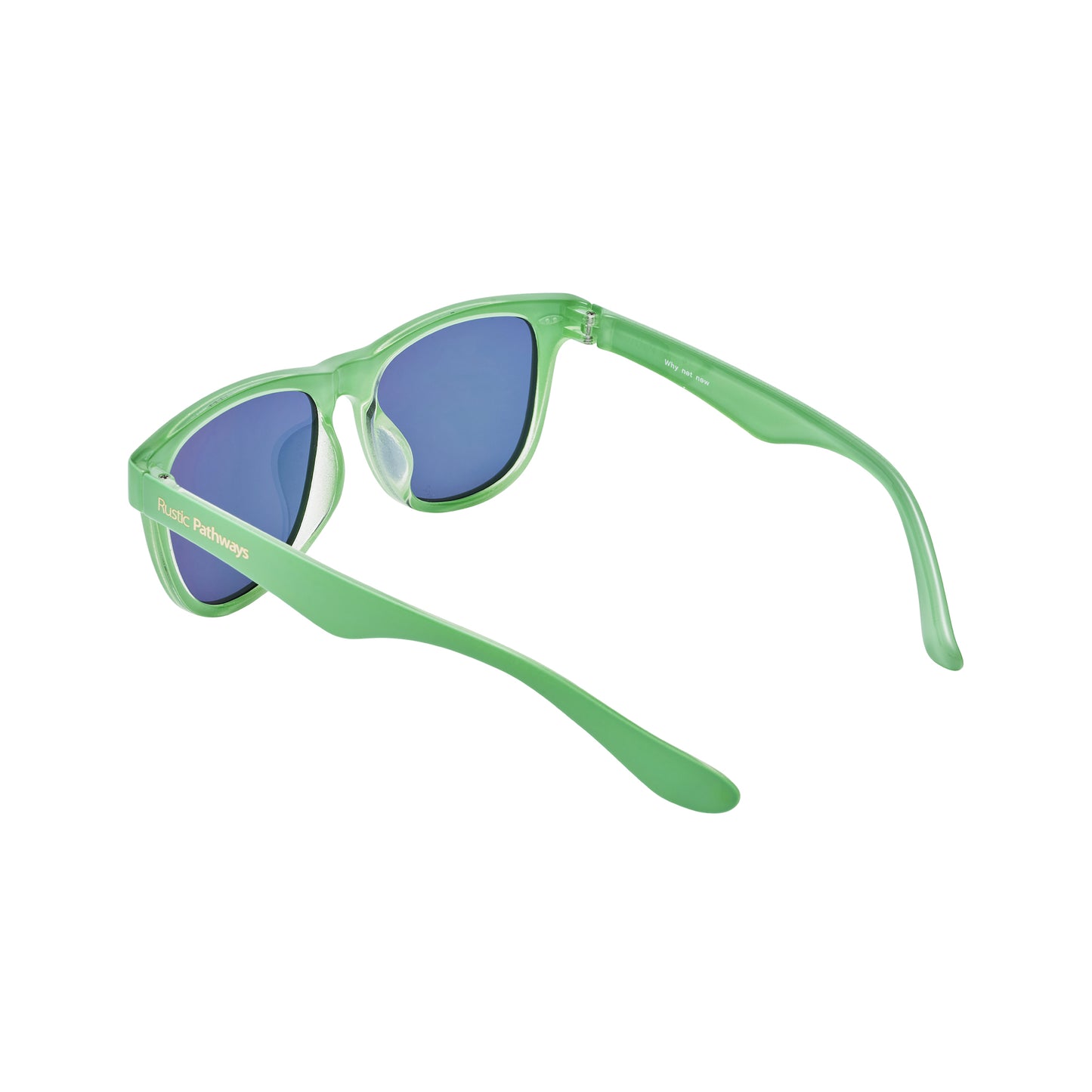 Tamalpais Sunglasses (Summer Apple / Gold)