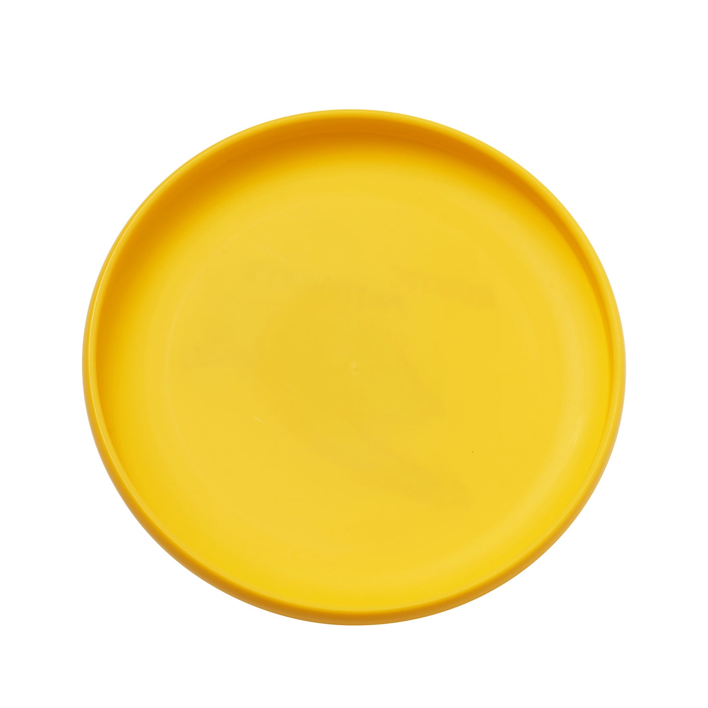 Rustic Pathways Turtle Flying Disc