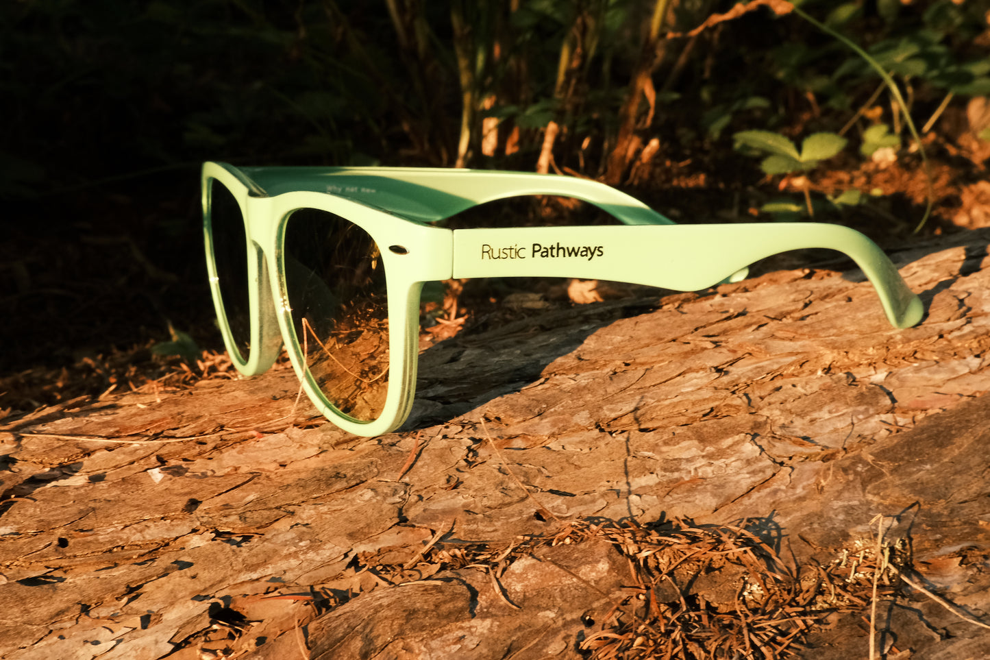 Tamalpais Sunglasses (Summer Apple / Gold)